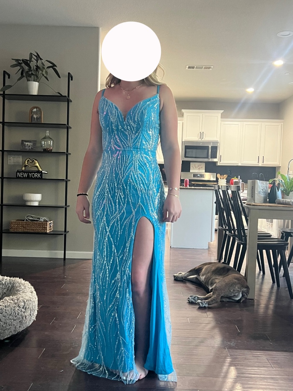 Prom dress- Never worn, only ever tried it on